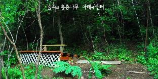 Pyeongchang Permata Pension,Pyeongchang>>Gangwon,3 star