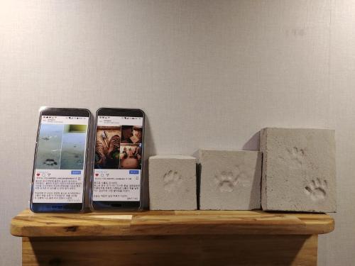 the bomgoro guest house in daegu