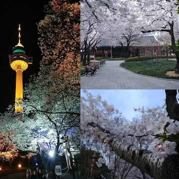 the bomgoro guest house in daegu