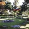 starvill pension