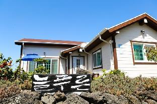 jeju evergreen house pension