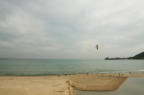 Yeongduk Blue Beach Pension,Near The Beach,2 star