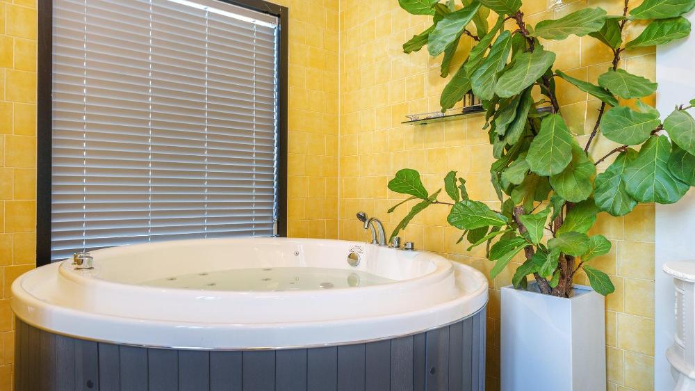 gyeongju 20th street spa pension