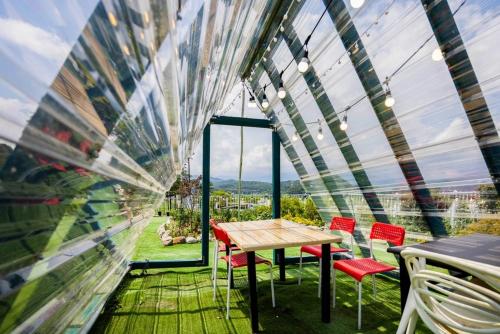 yangyang blue ara pension