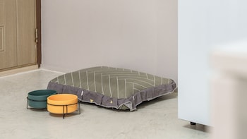 gapyeong venezia dog pension