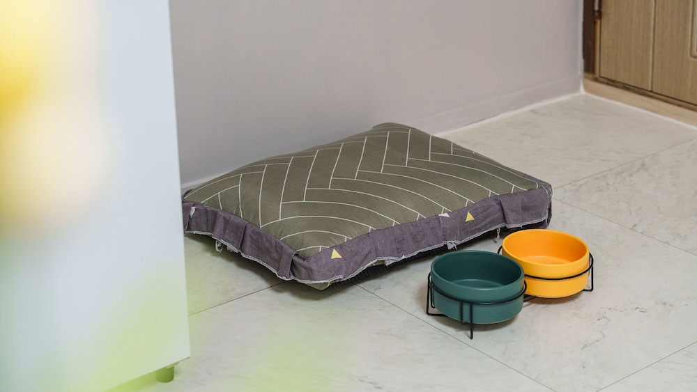 gapyeong venezia dog pension