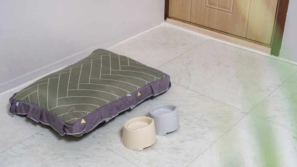 gapyeong venezia dog pension