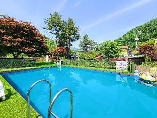 Gapyeong Venezia Dog Pension,Gapyeong>>Deokhyeon,3 star