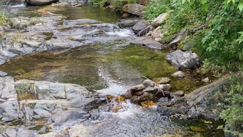 gapyeong venezia dog pension