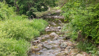 gapyeong venezia dog pension