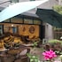 hotel thomas myeongdong