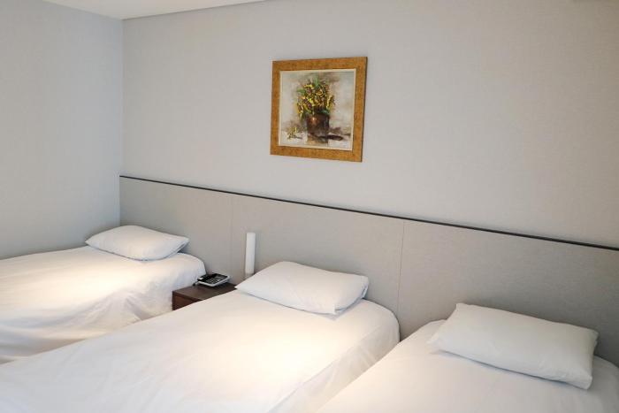 hotel thomas myeongdong