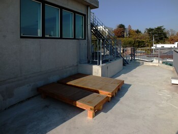 ariene guesthouse hostel