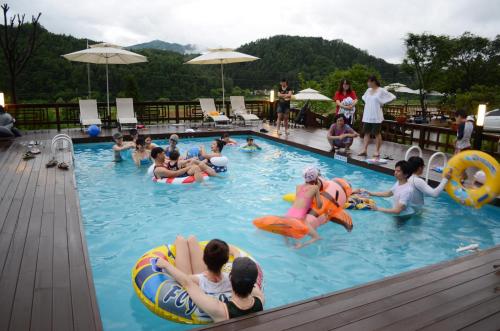 forest of color pension