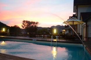 forest of color pension