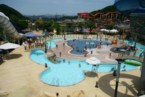 forest of color pension