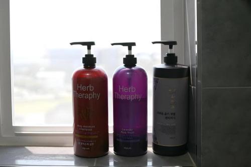 capsule in gangneung hostel