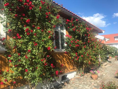 Toldgaarden Gjestegaard,Vestfold>>Larvik,3 star