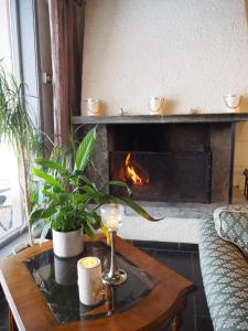 stor elvdal hotell