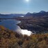 lyngen
