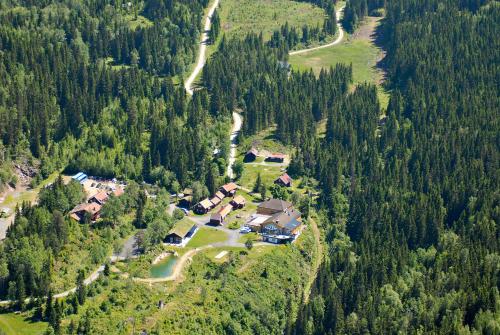 kleivstua