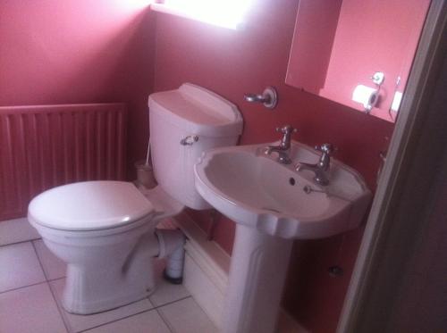 ivyleigh house adults only
