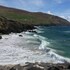 dingle