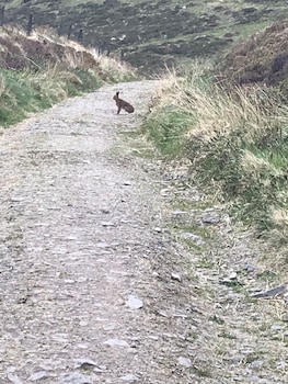 Emlagh Country House (Adults Only),Dingle Peninsula>>Dingle,4 star