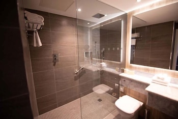 iveagh garden hotel