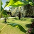 tonicello hotel resort and spa
