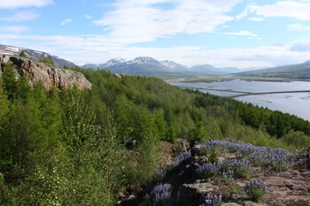 viking cottages and apartments