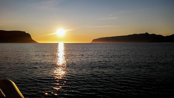 harbour inn guesthouse