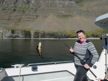 harbour inn guesthouse