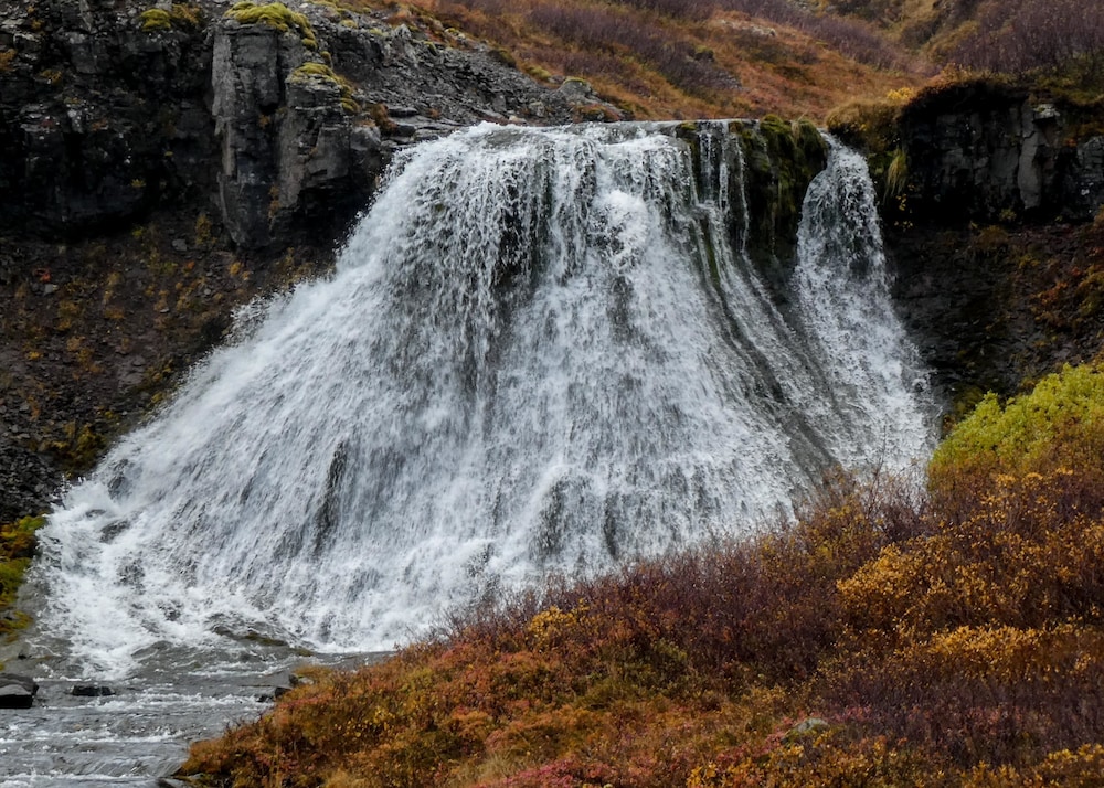 harbour inn guesthouse