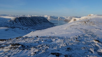 harbour inn guesthouse