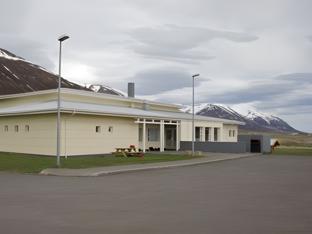 dalvik