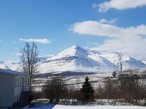 dalvik