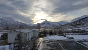dalvik