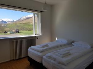 dalvik