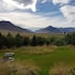 dalvik