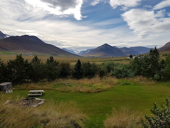 dalvik
