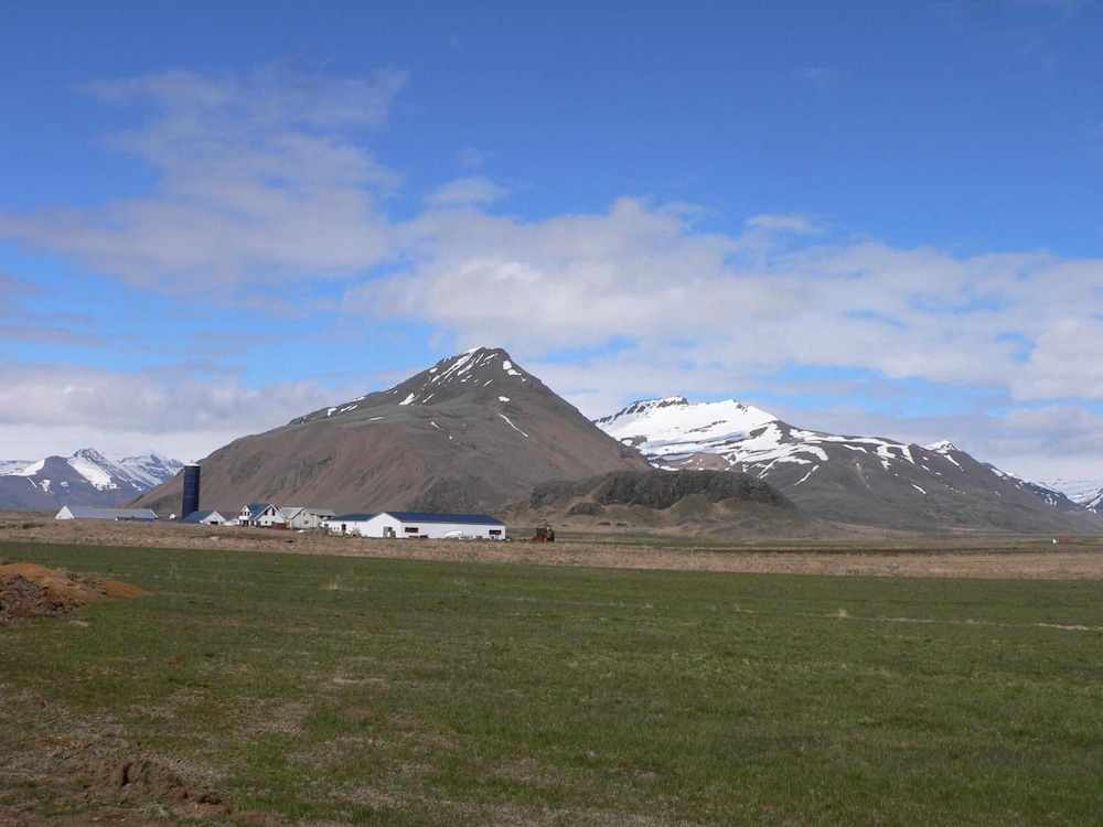 seljavellir guesthouse