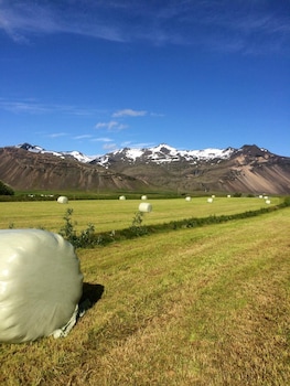 seljavellir guesthouse