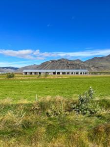 seljavellir guesthouse