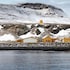 drangsnes