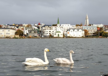 reykjavik