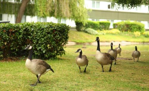 holiday inn bristol filton by ihg