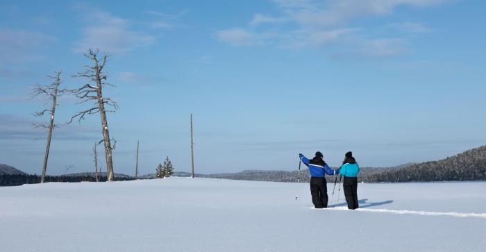 wilderness hotel inari and igloos