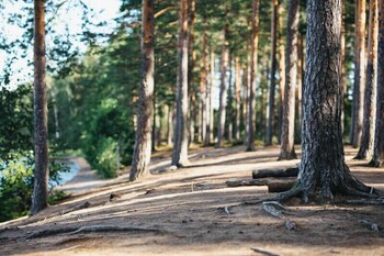 eerikkila sport and outdoor resort