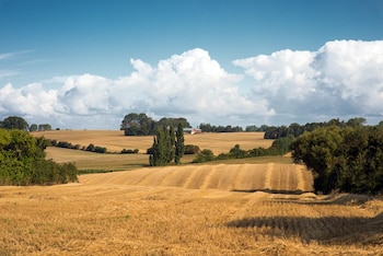 Femø Kro Anno2022,Maribo>>Eskilstrup,3 star